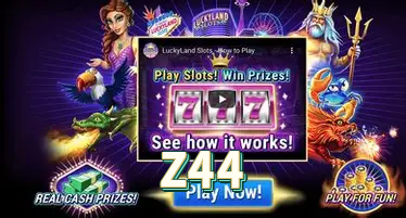 Z44 visual 2