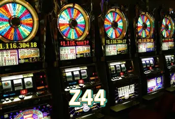 Instalador Z44 Windows